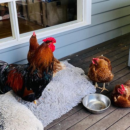 Farm Stay Maple Cottage At Wilindi Estate Tyabb Eksteriør bilde