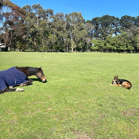 Farm Stay Maple Cottage At Wilindi Estate Tyabb Eksteriør bilde