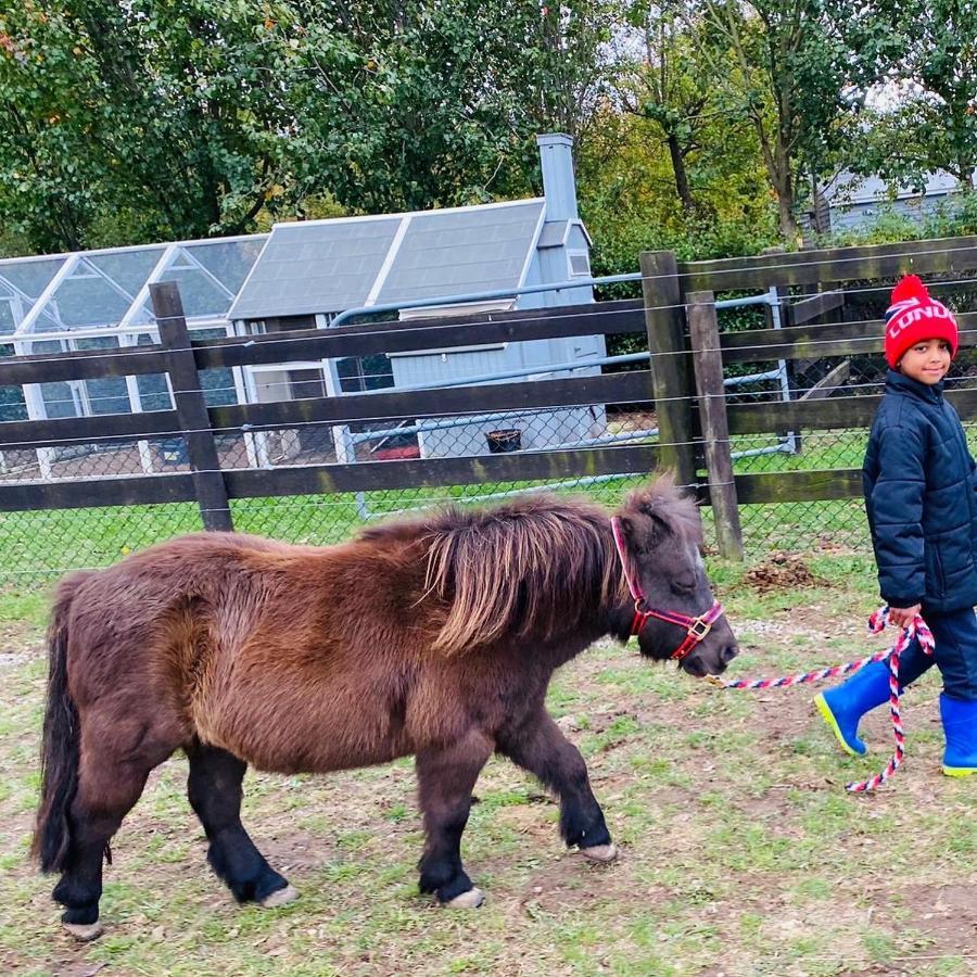 Farm Stay Maple Cottage At Wilindi Estate Tyabb Eksteriør bilde